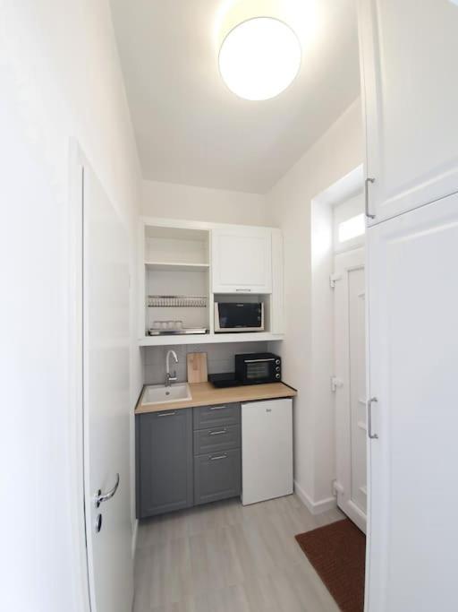 Master Apartment With Air Condition And Separated Rooftop Terrace Будапеща Екстериор снимка