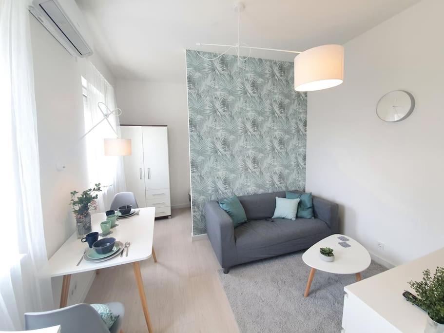 Master Apartment With Air Condition And Separated Rooftop Terrace Будапеща Екстериор снимка