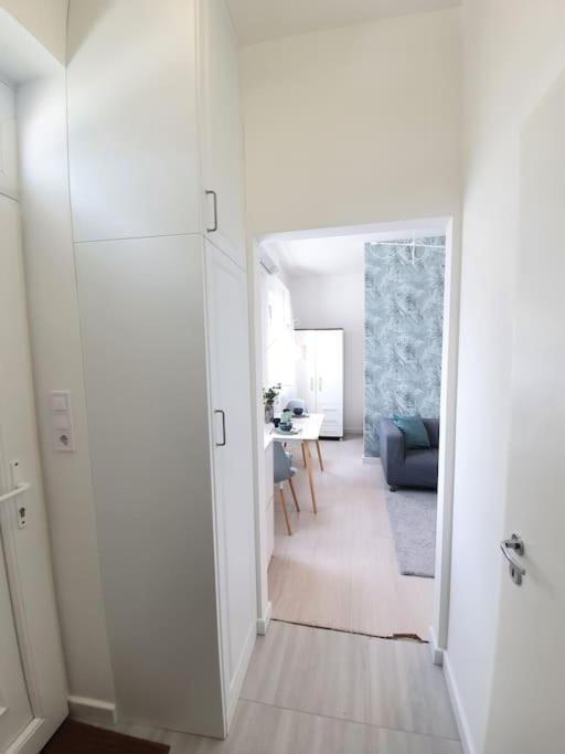 Master Apartment With Air Condition And Separated Rooftop Terrace Будапеща Екстериор снимка