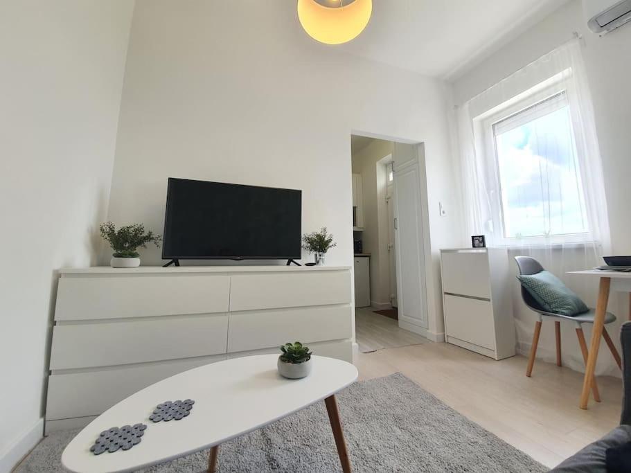 Master Apartment With Air Condition And Separated Rooftop Terrace Будапеща Екстериор снимка